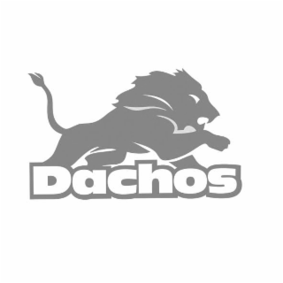 DACHOS logo