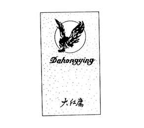 DAHONGYING logo