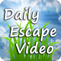 DAILY ESCAPE VIDEO logo