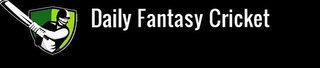 DAILY FANTASY CRICKET logo