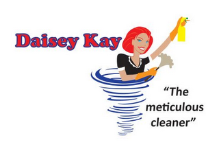 DAISEY KAY "THE METICULOUS CLEANER" logo