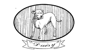 "DAISY" logo
