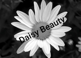 DAISY BEAUTY logo