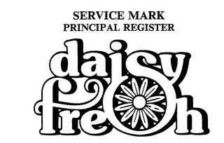 DAISY FRESH logo