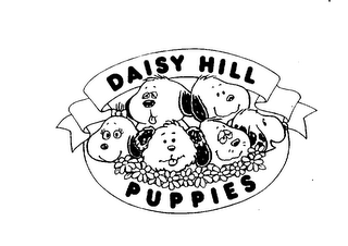 DAISY HILL PUPPIES logo
