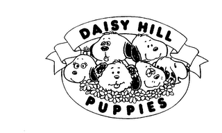 DAISY HILL PUPPIES logo