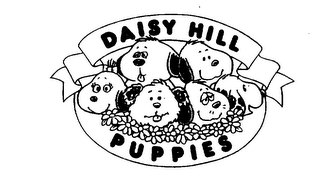 DAISY HILL PUPPIES logo
