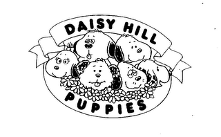 DAISY HILL PUPPIES logo