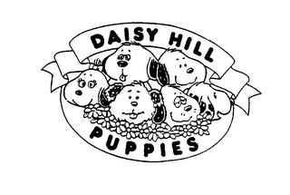 DAISY HILL PUPPIES logo