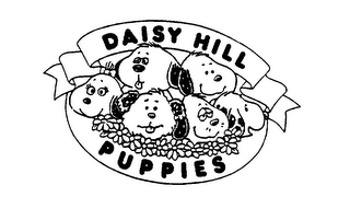 DAISY HILL PUPPIES logo