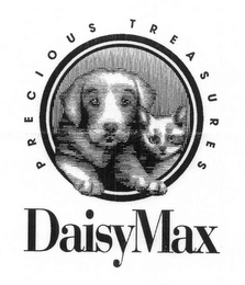 DAISYMAX PRECIOUS TREASURES logo