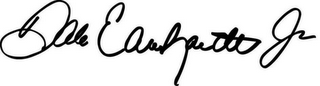 DALE EARNHARDT JR logo