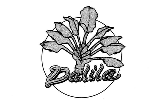 DALILA logo