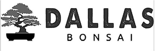 DALLAS BONSAI logo