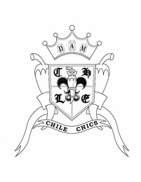 DAM CHILE CHICS logo