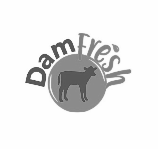 DAM FRESH logo