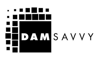 DAM SAVVY logo