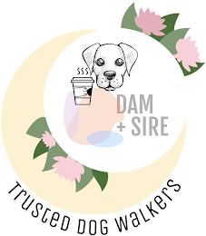DAM + SIRE logo