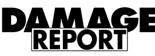 DAMAGE REPORT logo