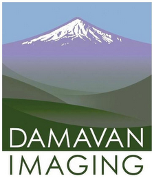 DAMAVAN IMAGING logo