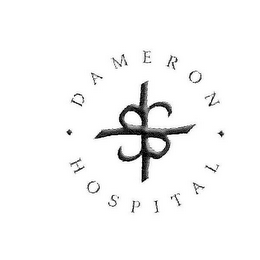 DAMERON HOSPITAL logo