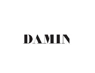 DAMIN logo