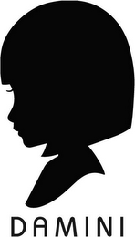 DAMINI logo