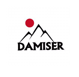DAMISER logo