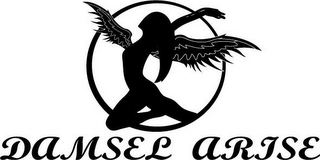 DAMSEL ARISE logo