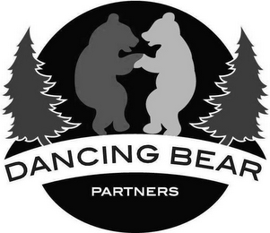 DANCING BEAR PARTNERS logo