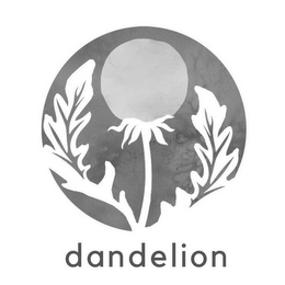 DANDELION logo