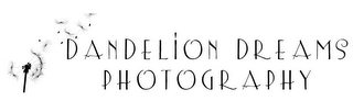 DANDELION DREAMS PHOTOGRAPHY logo