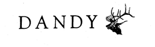 DANDY logo