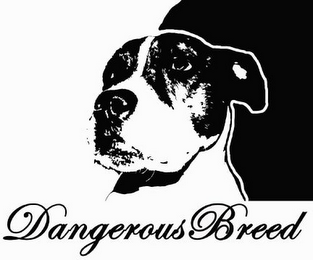 DANGEROUS BREED logo