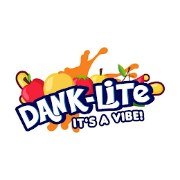 DANK-LITE IT'S A VIBE! logo