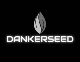 DANKERSEED logo