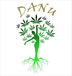 DANU logo