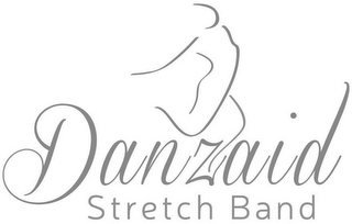 DANZAID STRETCH BAND logo