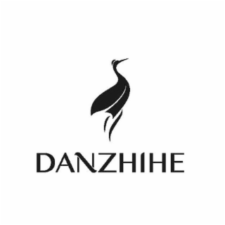 DANZHIHE logo