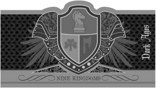 DARK AGES NINE KINGDOMS logo