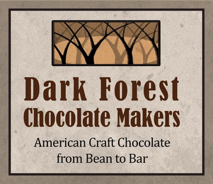 DARK FOREST CHOCOLATE MAKERS AMERICAN CRAFT CHOCOLATE FROM BEAN TO BAR logo