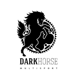 DARK HORSE MULTISPORT logo