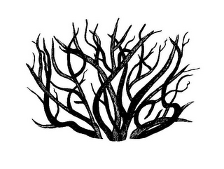 DARK LEAVES logo