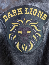 DARK LIONS logo