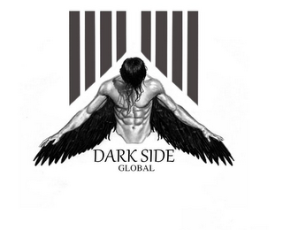 DARK SIDE GLOBAL logo