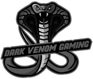 DARK VENOM GAMING logo