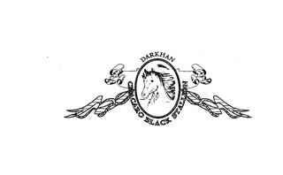 DARKHAN CHACARO BLACK STALLION logo