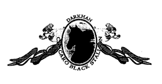 DARKHAN CHACARO BLACK STALLION logo