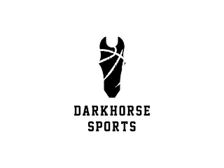 DARKHORSE SPORTS logo