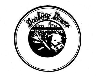 DARLING DOWNS logo